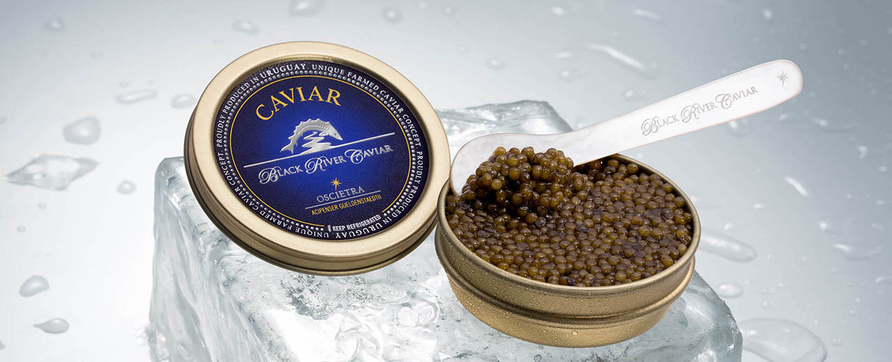 fresh caviar