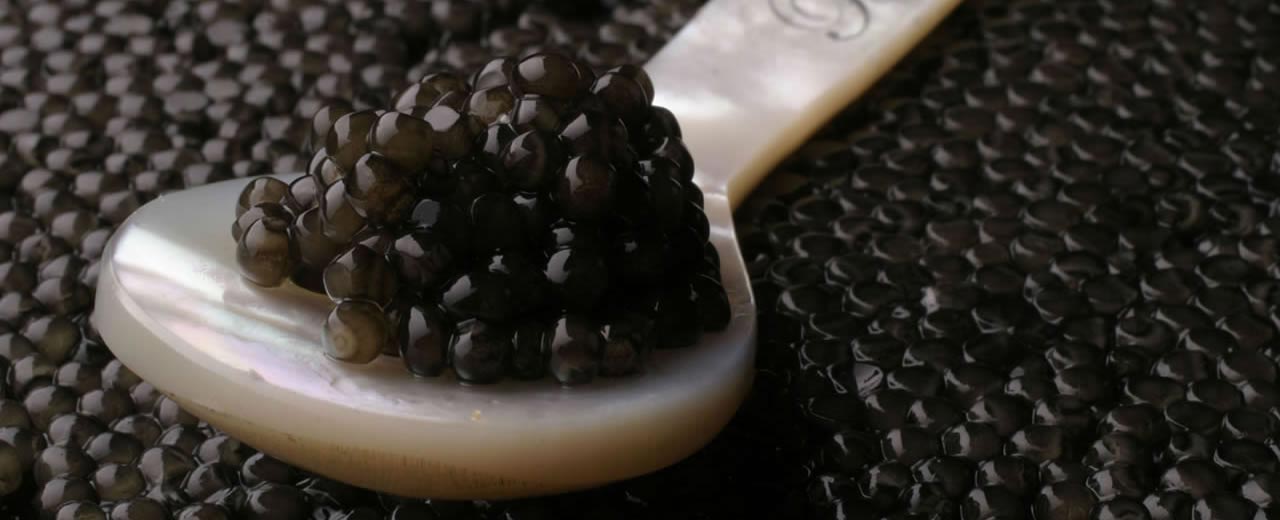 caviar