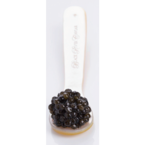 Caviar Russian Ocietra 30g – MiraFoods